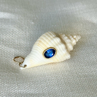 Sea Shell Pendant #3